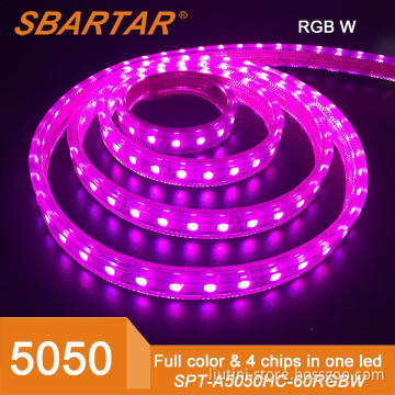 RGBW Strip Lights 110V/220V 5050LED Chinese Manufacturer With High Quality